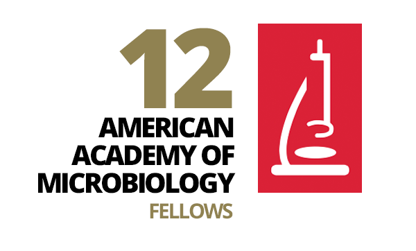 Twelve American Academy of Microbiology Fellows