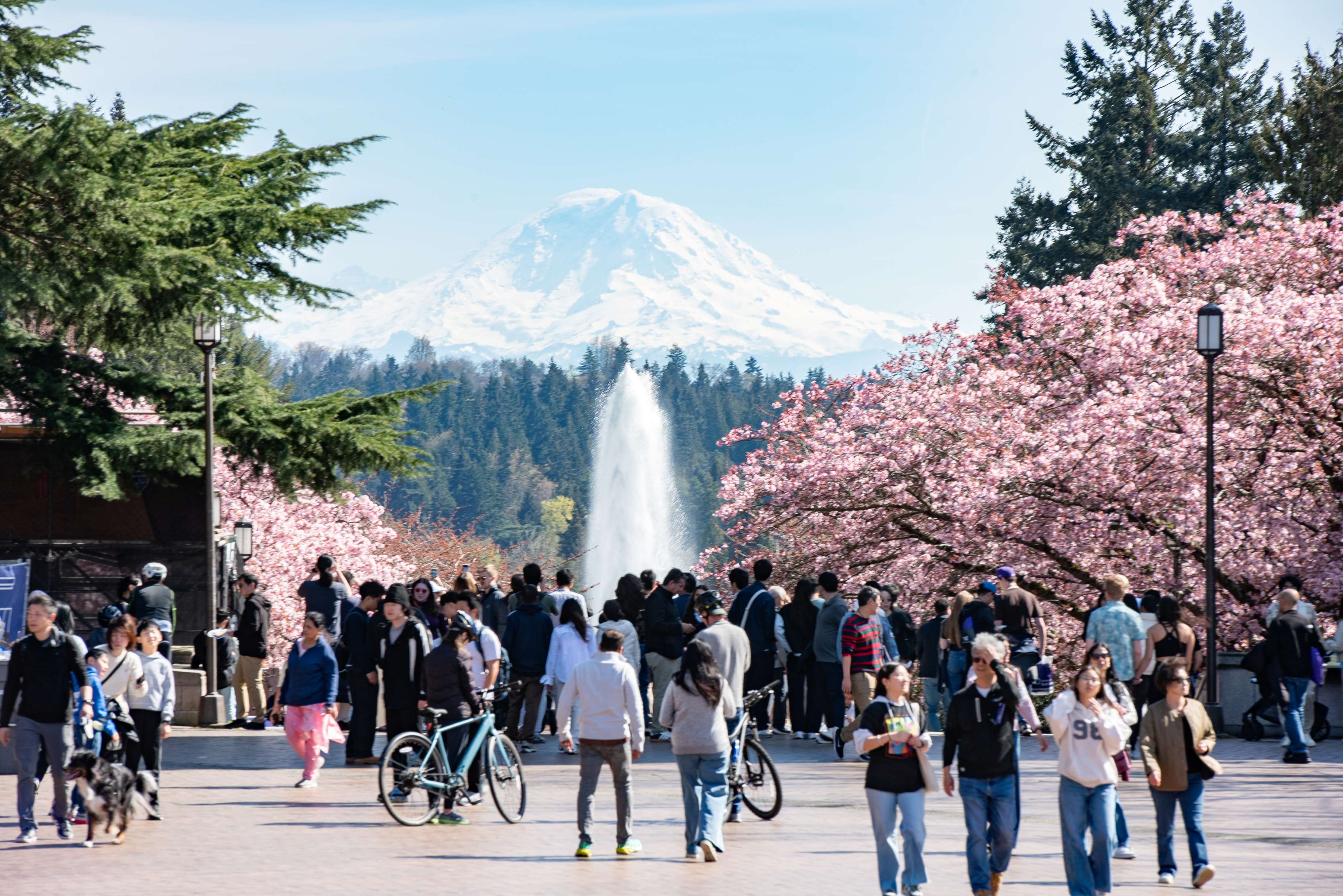 people walking in front of the fountain on UW campus