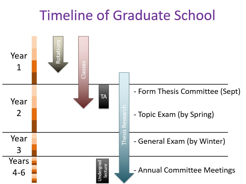 grad school timeline graphic