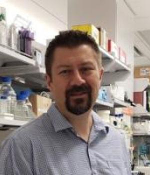 Profile picture for user AParedez